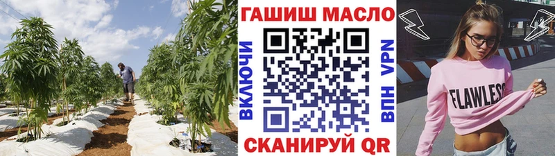 Дистиллят ТГК жижа  Купить закладки  Цоци-Юрт 
