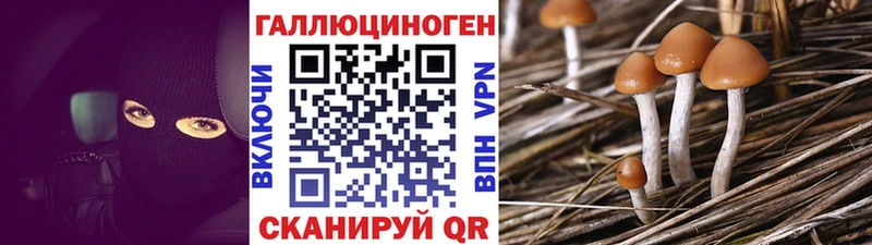Галлюциногенные грибы Cubensis  Купить закладки  Цоци-Юрт 
